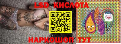 стаф Кандалакша