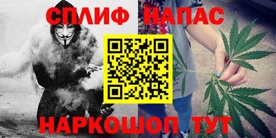 дмт Канаш