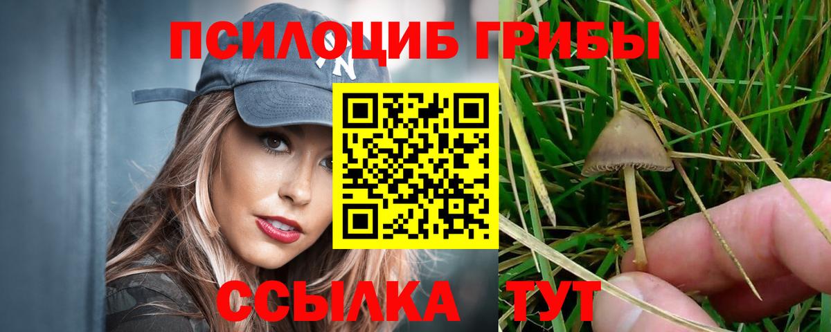наркотики  Галлюциногенные грибы прущие грибы  Галлюциногенные грибы Psilocybe  Вход с VPN  Киреевск 